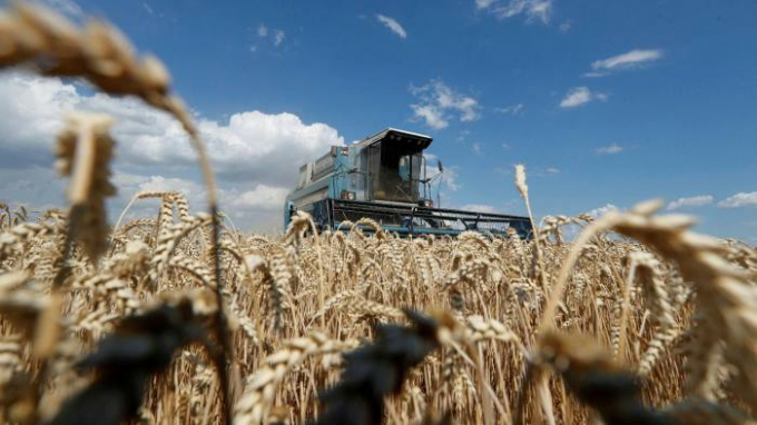Since the Russian assault of Ukraine wheat prices have soared to record highs, overtaking levels seen during the food crisis of 2007-08. Photo: Valentyn Ogirenko/Reuters