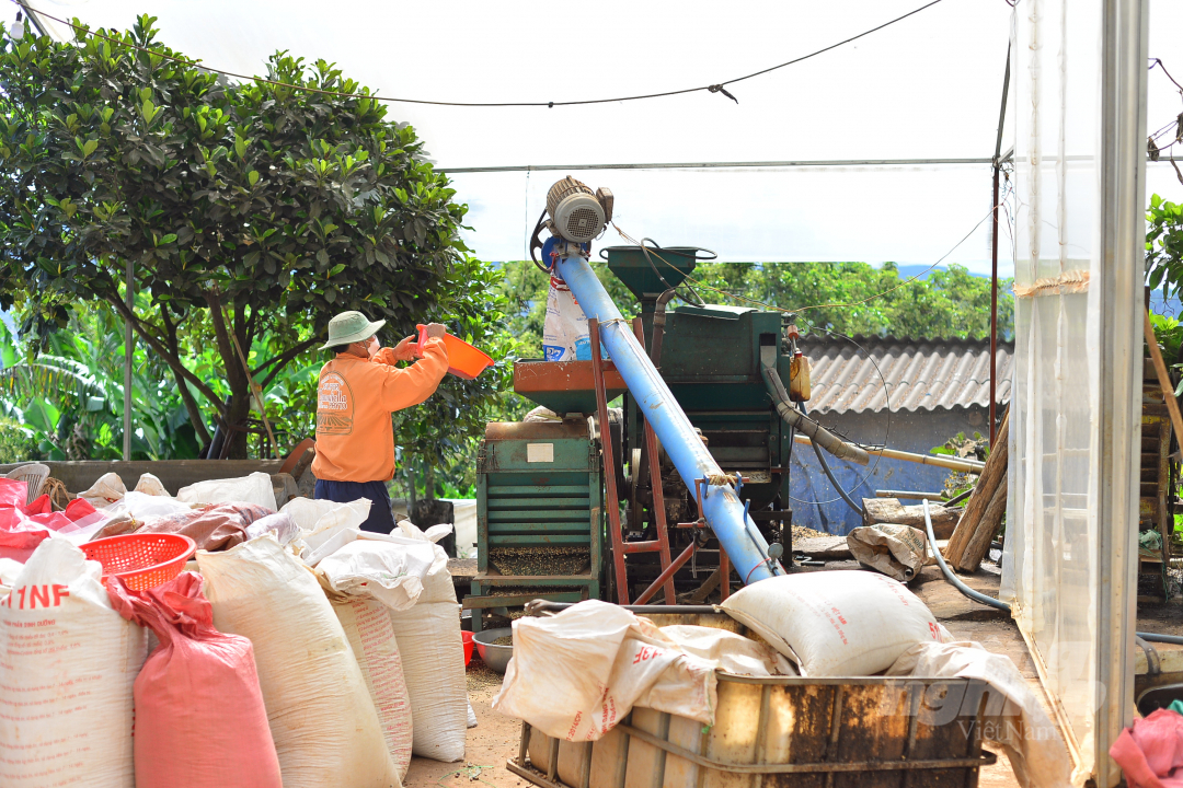 Nam Ban Agricultural Cooperative has invested in a machinery system to ensure preliminary processing as well as the whole production. Photo: Minh Hau.