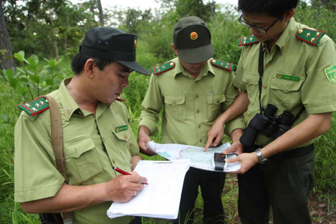 Forest rangers inspect the field. Photo: NNVN.