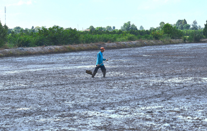 Nông dân vùng Dự án VnSAT tỉnh Tiền Giang đang thực hiện làm đất chuẩn bị gieo sạ vụ xuân hè. Ảnh: Minh Đảm.