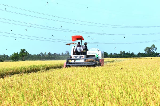 Dự án VnSAT đã chuyển giao nhiều tiến bộ khoa học kỹ thuật cho nông dân ĐBSCL. Đây sẽ là nền tảng cho sản xuất lúa thích ứng biến đổi khí hậu, phát triển bền vững ngành hàng lúa gạo. Ảnh: Minh Đảm.