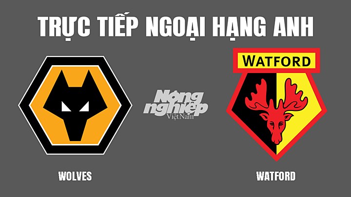 Trực tiếp bóng đá Ngoại hạng Anh giữa Wolves vs Watford hôm nay 11/3/2022