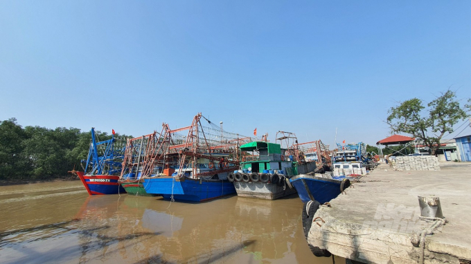 Offshore fishing vessels in Lap Le, Thuy Nguyen. Photo: Dinh Muoi.