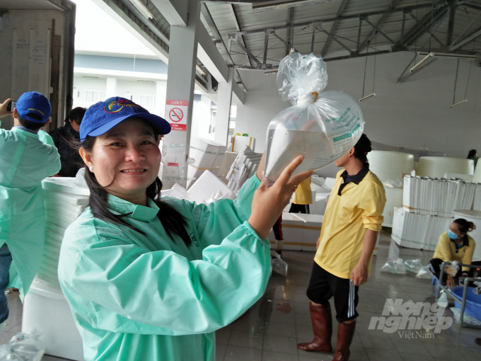 Vietnam's shrimp export industry has great potential for development. Photo: Huu Duc.