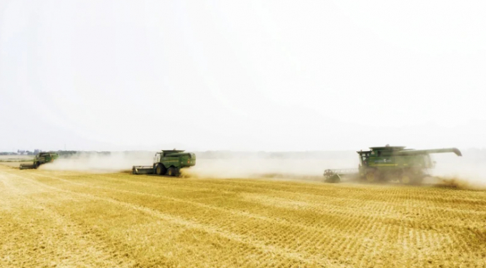 Ukraine increased grain production by 32% in 2021 to 85.7m tonnes. Photo: RTE