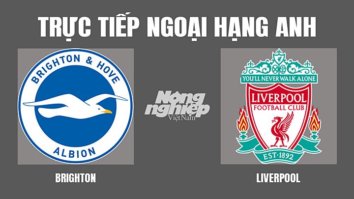 Trực tiếp bóng đá Ngoại hạng Anh giữa Brighton vs Liverpool hôm nay 12/3/2022