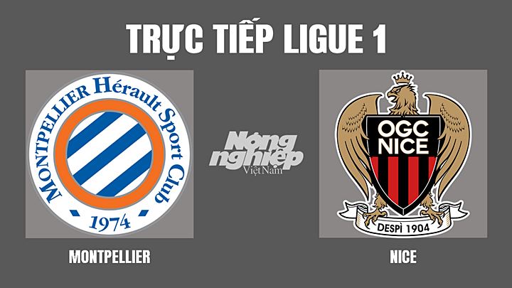 Trực tiếp bóng đá Ligue 1 giữa Montpellier vs Nice hôm nay 12/3/2022