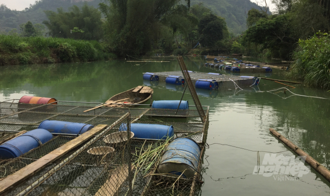 Mô hình nuôi cà lồng tại xóm Nà Phường, xã Độc Lập, huyện Quảng Hòa, tỉnh Cao Bằng. Ảnh: Toán Nguyễn.