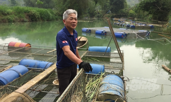 Ông Bế Thành Đông, Chủ nhiệm Hợp tác xã cá lồng Pác Đa, xã Độc Lập chia sẻ về kinh nghiệm nuôi cá lồng. Ảnh: Công Hải.