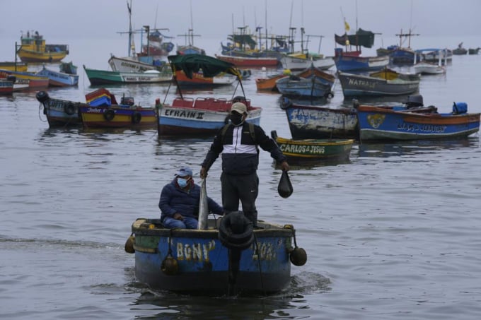 Một ngư dân cầm con cá đánh bắt được trong vùng nước bị nhiễm dầu do sự cố tràn 11.900 thùng dầu hồi tháng Giêng năm nay. Ảnh: AP.
