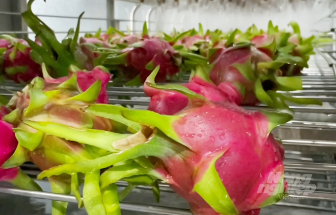 Việt Nam phấn đấu trở thành quốc gia hàng đầu về xuất khẩu nông sản.