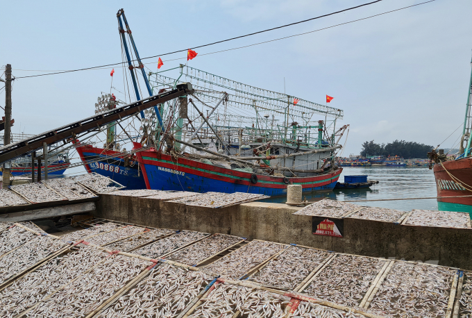 Đây là giai đoạn cực kỳ khó khăn của ngành nghề thủy sản nói chung, kết hợp với sự chậm trễ xoay quanh quá trình đóng mới tàu cá Nghị định 17 khiến tình hình rối tung rối mù. Ảnh: Việt Khánh.