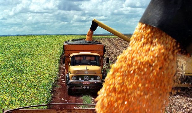 The maize production of a farm is loaded on trucks in Guarapuava, Parana, southern Brazil. Photo: AFP 