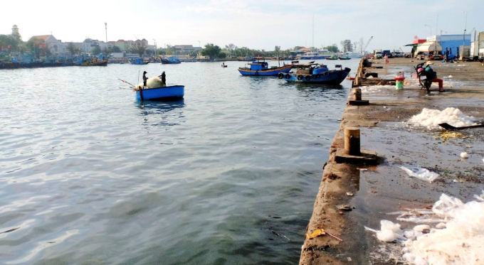 40CV Wharf in Phan Thiet Fishing Port (Binh Thuan) is filled, so no vessels can dock or load goods. Photo: Kim So.