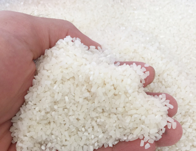 Unusually high demand for broken rice in Asian comes from feed industry. Photo: TL.