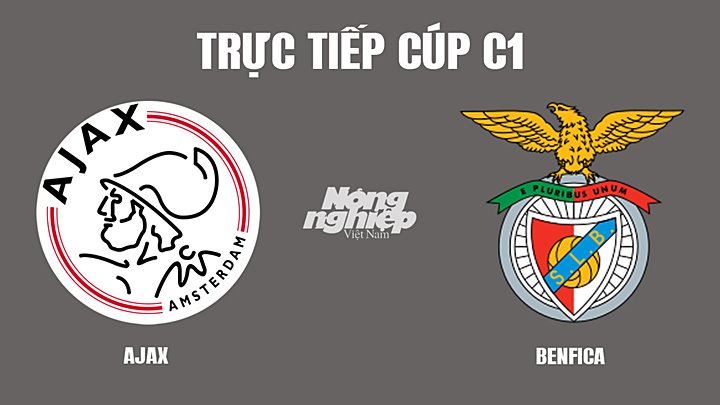 Trực tiếp bóng đá Cúp C1 giữa Ajax vs Benfica hôm nay 16/3/2022