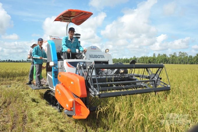 Project VnSAT strengthens the connection between farmers and businesses, cooperatives/groups coordinating in rice production and consumption. Photo: Le Hoang Vu.