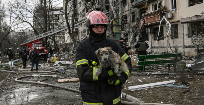 Một người lính cứu hỏa giải cứu chú cún con bị mắc kẹt trong một tòa nhà ở Kiev bị trúng bom bốc cháy hôm 14/3/2022. Ảnh: AFP