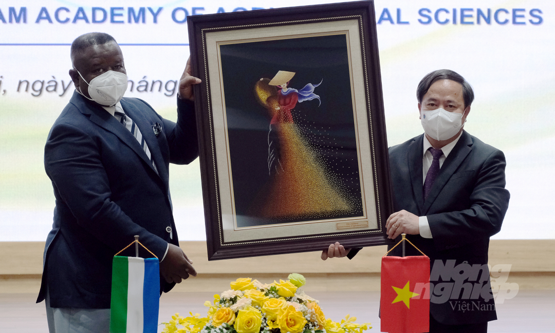 GS. TS. Nguyễn Hồng Sơn tặng quà lưu niệm cho đoàn công tác của Sierra Leone. Ảnh: Bảo Thắng.