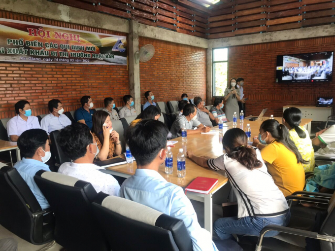 Conference to disseminate new regulations on exporting to the Japanese market was organized by the Department of Plant Protection and An Giang Department of Agriculture and Rural Development on March 14. Photo: BT.