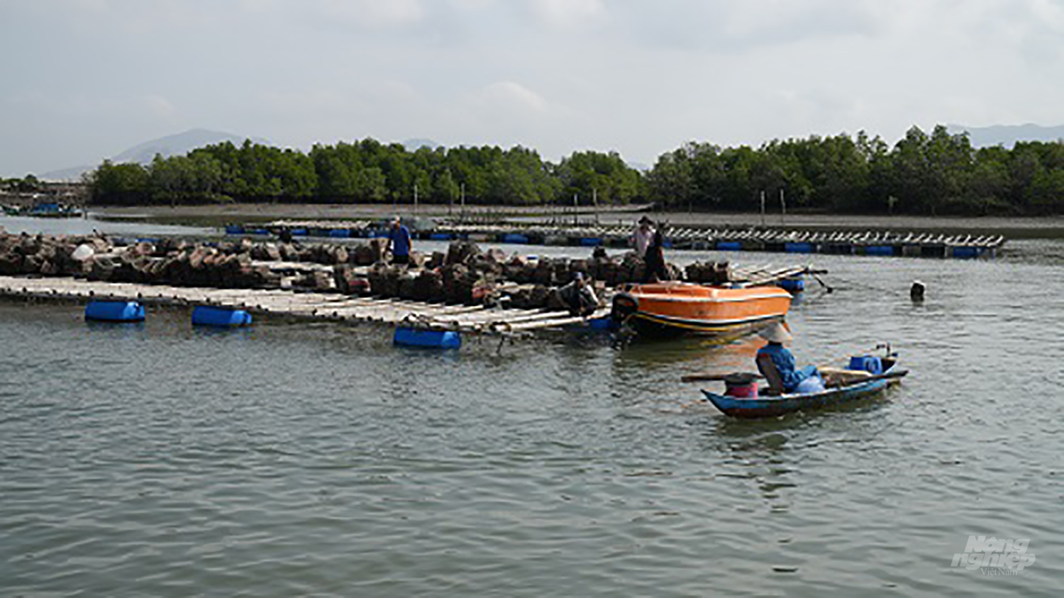 Để quản lý việc nuôi cá lồng bè và các nhuyễn thể trên hệ thống sông, UBND tỉnh BR-VT đã giao cho các địa phương tăng cường hoạt động thanh, kiểm tra nhằm ngăn chặn các lồng bè hoạt động tự phát. Ảnh: Hồng Thủy.