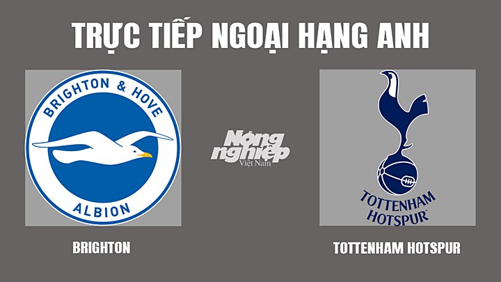 Trực tiếp bóng đá Ngoại hạng Anh giữa Brighton vs Tottenham hôm nay 17/3/2022