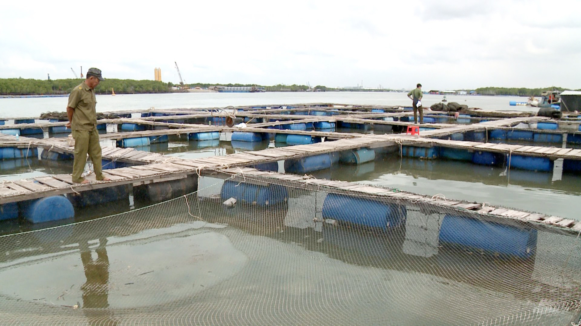BR-VT dù đã phát triển ngành nuôi trồng thủy hải sản từ lâu, có diện tích nuôi trồng lớn, nhưng vẫn nằm chủ yếu ở các khu vực cửa sông, cửa biển, gần bờ. Ảnh: Hồng Thủy.