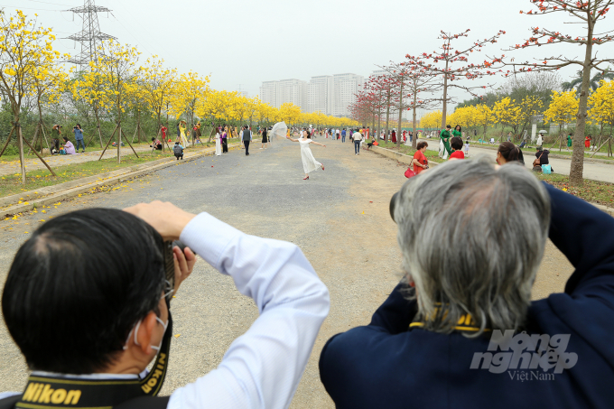 Ngoài những địa điểm trên, các nhiếp ảnh gia còn 'truyền tai' nhau 'săn lùng' những khoảnh khắc đẹp với hoa gạo ở một số nơi như đại học Dược, Hồ Hoàn Kiếm và đặc biệt tại con đường hoa phường La Khê, quận Hà Đông.