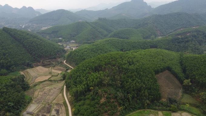 Bac Kan is likened to the country’s 'green lung'. Photo: Toan Nguyen.