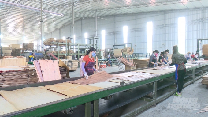 A timber processing factory in Thanh Binh Industrial Park, Cho Moi district, Bac Kan province. Photo: Toan Nguyen.