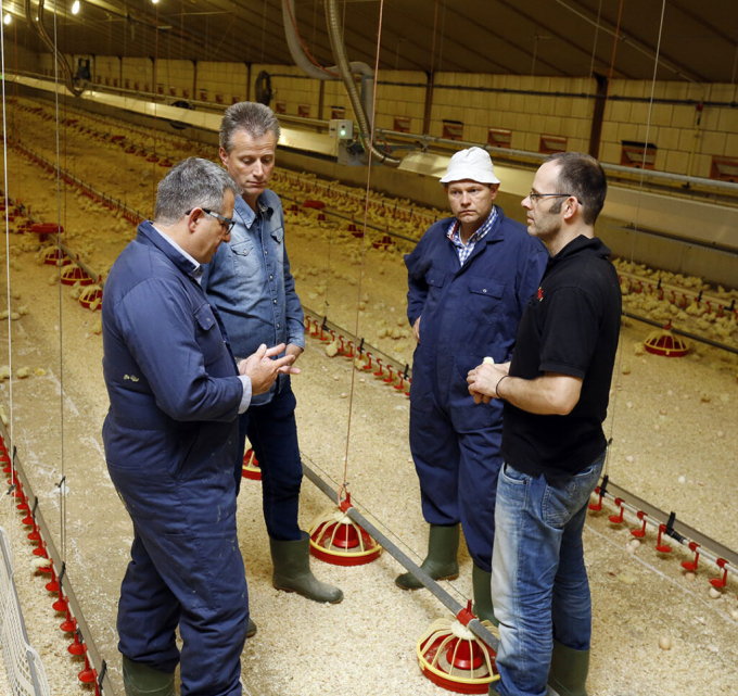 Given the interaction between nutrition, health and bird management, all stakeholders must be involved when discussing different feed formulation options. Photo: Jan Zandee