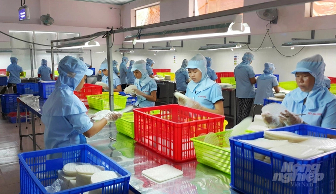 Duy Anh Foods actively collects input materials (rice) over 6 months. Photo: TL.