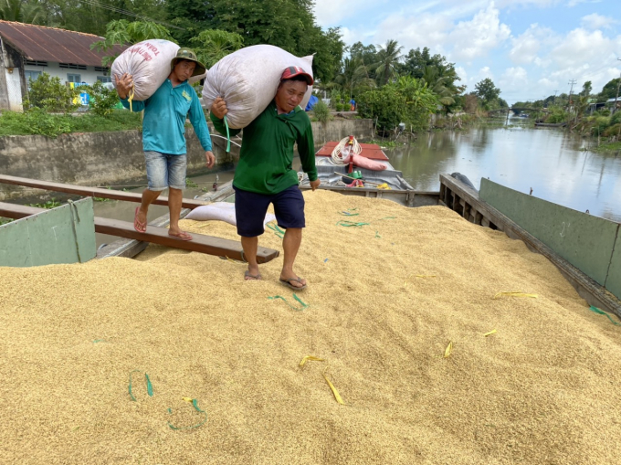 Farmers harvesting the winter-spring rice still gain profit while the record-high input prices occur. Photo: Le Hoang Vu.
