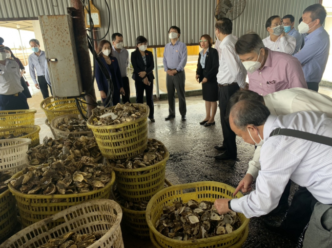 Aquatic materials produced and put into processing factories account for about 25 per cent. Photo: CCTS