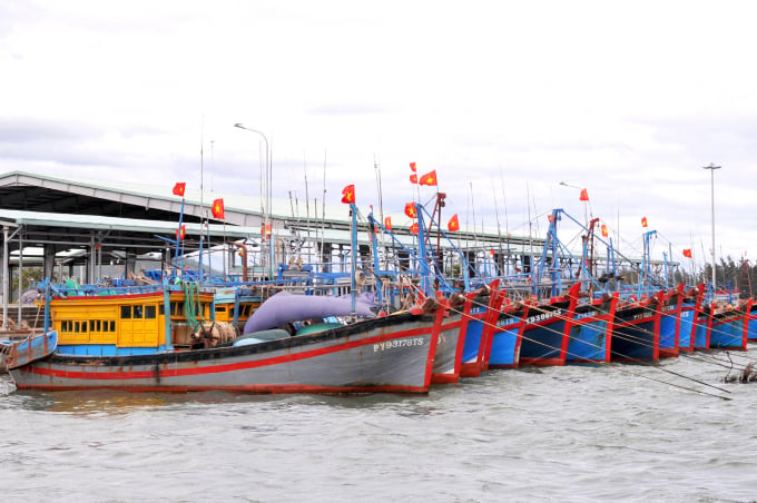 To remove EC's yellow card, the South Central coastal provinces need to renovate fishing ports as soon as possible. Photo: KS.