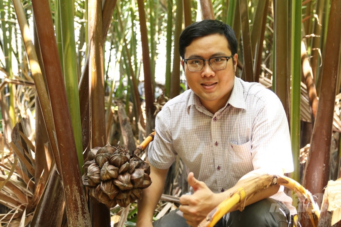 Technician Phan Minh Tien pursues the idea of 'standardizing the nectar of nipa palm to regain the resource’s position of resources.' Photo: HL.