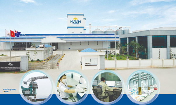 Mavin Group owns 5 modern animal feed factories nationwide. Photo: TL.