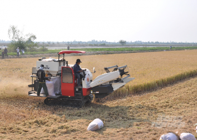 Đạt gần 100% cơ giới hóa khâu thu hoạch lúa ở ĐBSCL. Ảnh: HĐ.