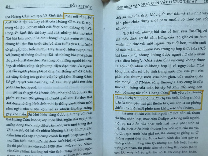 Hai trang 234 và 235 của Đỗ Lai Thúy...