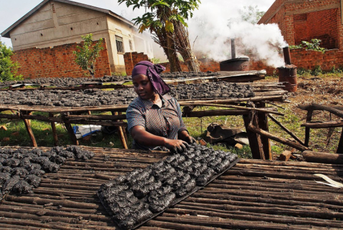 A worker lays out biochar to dry in the sun before it is packed and distributed at the Eco Fuel Africa factory in Lugazi. Photo: AFP