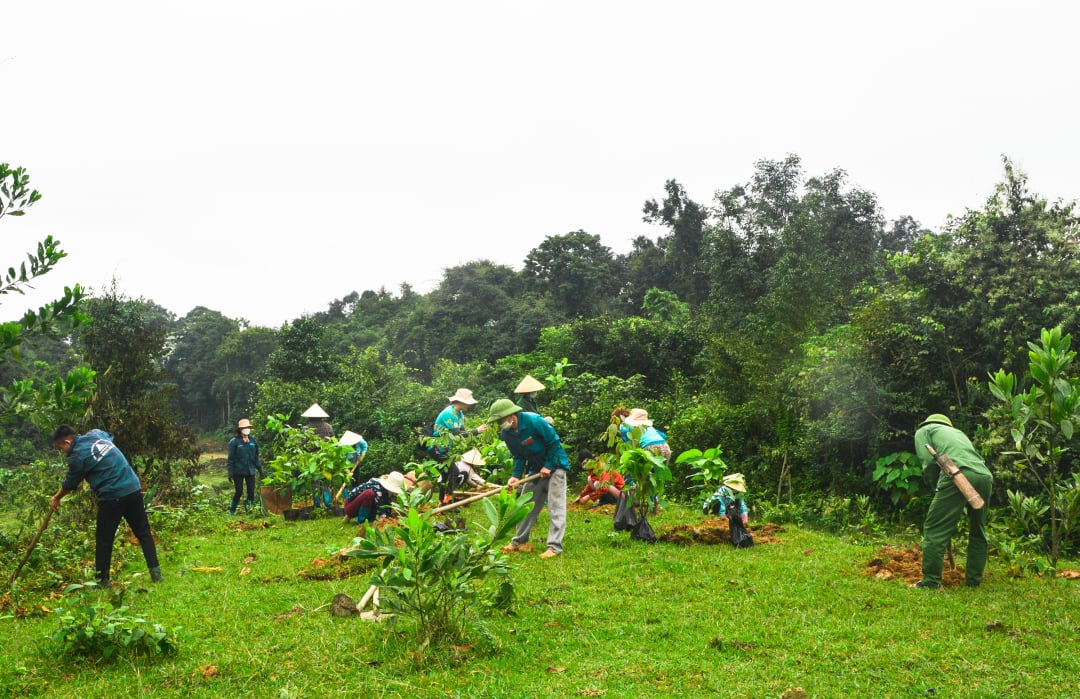 Người dân địa phương cùng Gaia trồng cây tại Khu Bảo tồn Thiên nhiên Xuân Liên. Ảnh: Gaia.