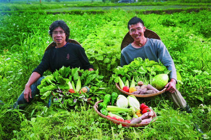 Organic agriculture not only contributes to a sustainable agriculture, but is also the key to exporting high-value agricultural products. Photo: TL.