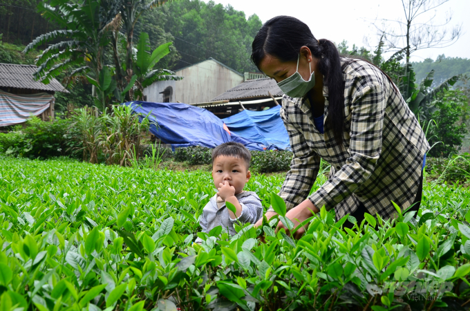 Following mother to the garden. Photo: Duong Dinh Tuong.