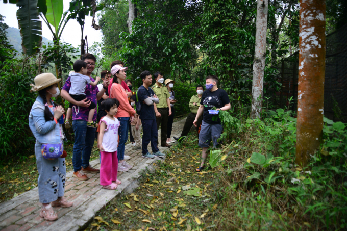 Visitors at Cuc Phuong National Park. Photo: TL.