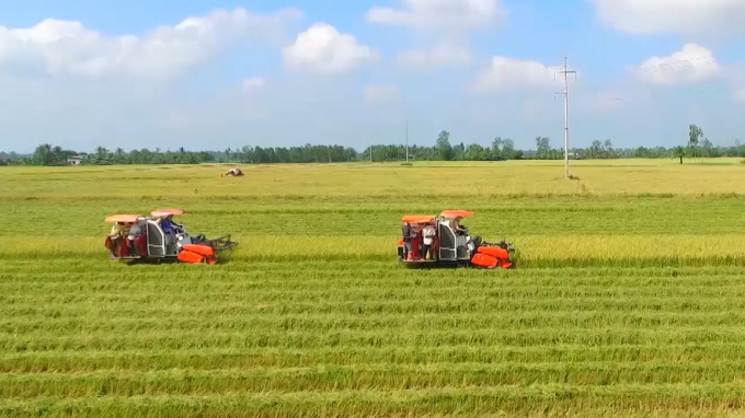 Mekong Delta farmers apply mechanization in rice harvesting. 