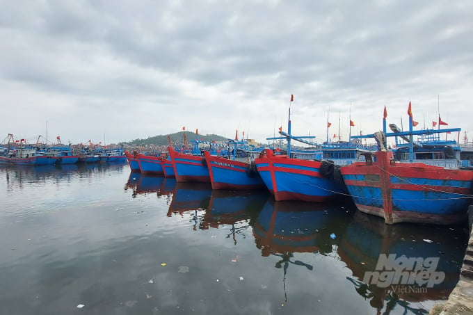 Some localities reduced the number of small-capacity ships and increased the number of large-capacity ones to enhance marine fishing. Photo: VD.