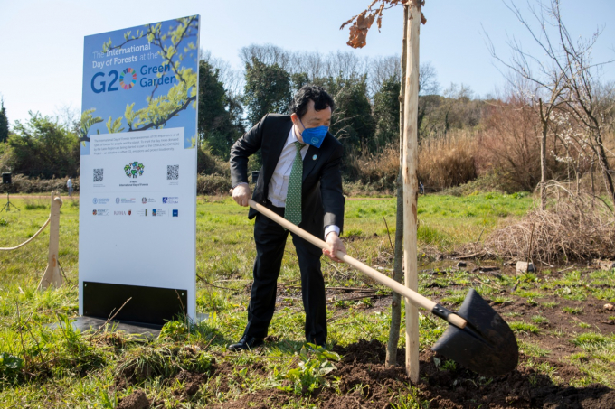 FAO Director-General QU Dongyu at a ceremony to complete the planting of 40 trees donated by the Lazio Region on the occasion of the International Day of Forests at the G20 Green Garden, Appia Antica Archeological Park, Rome. Photo: Pier Paolo Cito