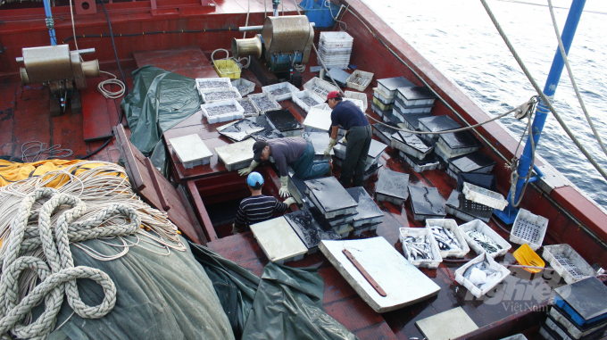 Refrigeration technology combines cold soak and cold permeation to develop a technological process for preserving seafood on offshore fishing vessels. Photo: Dinh Muoi.