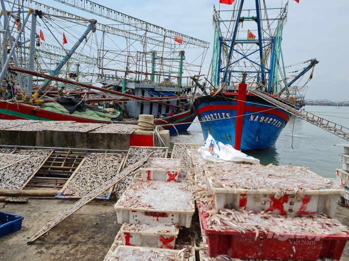 Do nhiều nguyên nhân, ngành thủy sản Nghệ An chưa đạt được như kỳ vọng. Ảnh: Việt Khánh.