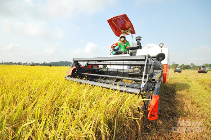 Dự án VnSAT đã giúp thay đổi bộ mặt sản xuất lúa ở Đồng Tháp cũng như nhiều tỉnh ĐBSCL. Ảnh: Văn Vũ.